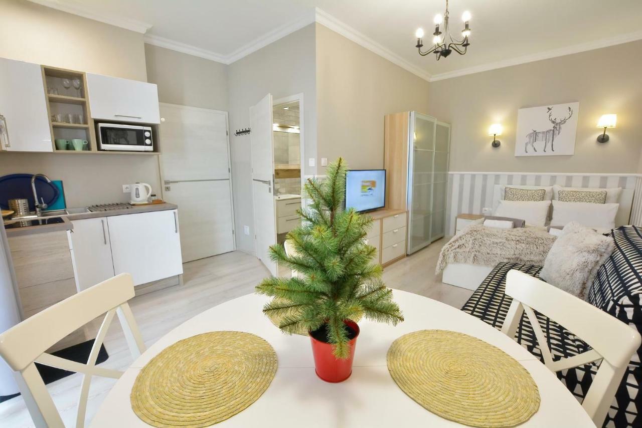 Zlote Modrzewie Apartamento Duszniki Zdrój Exterior foto