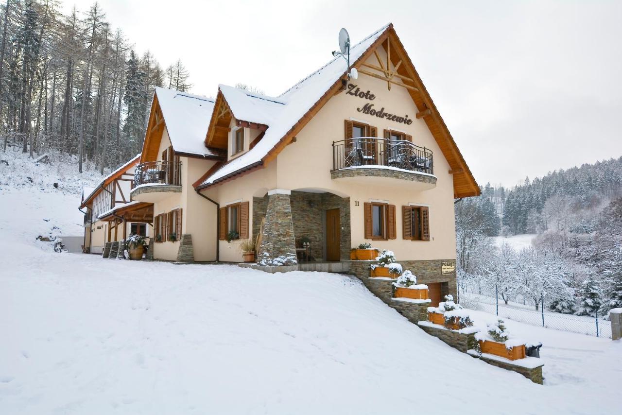 Zlote Modrzewie Apartamento Duszniki Zdrój Exterior foto